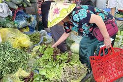 Hà Nội: Chuyện gì đang xảy ra với giá rau sau mưa lũ?