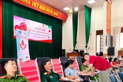 Gia Lai tiếp nhận 169 đơn vị máu tại Ngày hội hiến máu tình nguyện