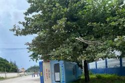 Xe buýt bị lật khi đang chở khách