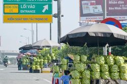 Cảnh sát tuần tra dọc chân cầu Thanh Trì dẹp nạn dừng xe mua ổi, đón trả khách tùy tiện