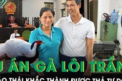 Toàn cảnh vụ án gà lôi trắng: Bị cáo Thái Khắc Thành được miễn trách nhiệm hình sự, trả tự do tại tòa