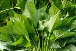Tác dụng của rau lang với huyết áp