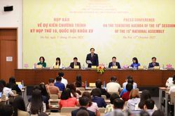 Chưa sửa Luật Đất đai để đảm bảo các giải pháp mang tính tổng thể, căn cơ