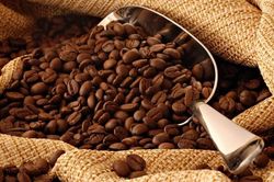 Giá cà phê hôm nay 19.10: Thị trường nội địa đồng loạt giảm 1.000 đồng/kg