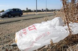California kiện các nhà sản xuất túi nhựa vì quảng cáo sai về khả năng tái chế