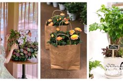 Thị trường Nghệ An dịp 20/10: Chậu cây mini, lan hồ điệp, mỹ phẩm thiên nhiên 'lên ngôi'