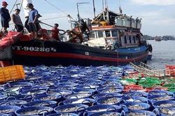 Cương quyết 'tuyên chiến' với hành vi vi phạm khai thác IUU