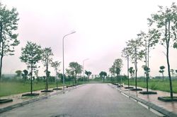 Cảnh dở dang tại dự án khu đô thị liên quan 'bầu' Đoan suốt hai thập kỷ