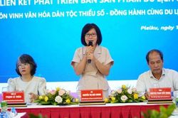 'Vẽ lại bản đồ du lịch' Gia Lai mới: Các doanh nghiệp, chuyên gia, nhà quản lý 'hiến kế'