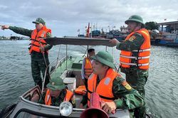 Tin mới nhất về cơn bão số 12