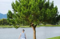 Dạo quanh Hồ Xuân Hương trải nghiệm bình yên giữa lòng Đà Lạt