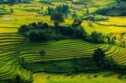 Khám phá mùa thu Lai Châu