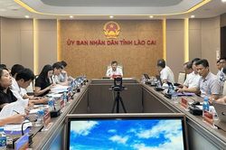 Tập trung nguồn lực, tháo gỡ những vướng mắc đẩy nhanh tiến độ các dự án truyền tải điện trọng điểm trên địa bàn Lào Cai
