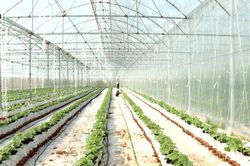 Ninh Bình: Ngành nông nghiệp và môi trường duy trì phát triển ổn định, GRDP nông, lâm, thủy sản tăng 2,63%