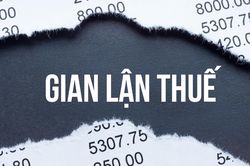 Doanh nhân Hà Thành trốn thuế tiền tỷ bị 'sờ gáy'