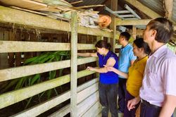 Hiệu quả nguồn vốn chính sách ở Hà Tĩnh