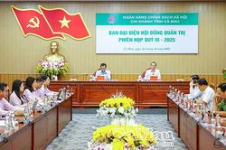 Rà soát, phân loại nợ, đẩy nhanh giải ngân chương trình tín dụng còn tồn