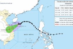 Học sinh ở Đà Nẵng được nghỉ học từ ngày 22/10 để tránh bão Fengshen