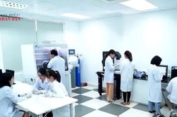 Cần bổ sung cơ chế thu hút nguồn nhân lực chất lượng cao