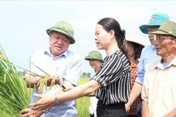 Hướng tới nền nông nghiệp xanh, tuần hoàn, trách nhiệm với môi trường