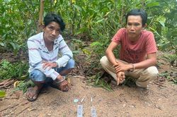 Bắt 'ma' trong rẫy keo