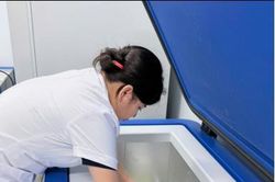 WHO hỗ trợ vaccine phòng dại cứu người tại các tỉnh có nguy cơ cao ở Việt Nam
