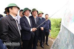 Đồng chí Bí thư Tỉnh ủy Đặng Xuân Phong khảo sát thực tế một số công trình, dự án trên địa bàn tỉnh
