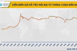 Giá hồ tiêu biến động ra sao những tháng cuối năm?