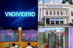 Những cổ phiếu có cổ tức ổn định, thu hút vốn đầu tư quốc tế