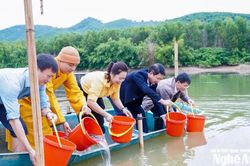 Thả hơn 2,3 tấn cá giống tái tạo nguồn lợi thủy sản tại hồ Châu Thắng