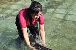 Cá tầm 50kg lớn nhất Lai Châu được bán đấu giá bao nhiêu?