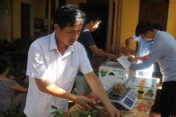 Lập hồ sơ Tri thức trồng và chế biến nhãn lồng Hưng Yên trình UNESCO