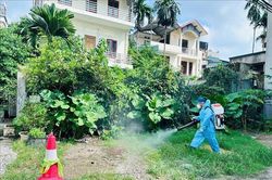 Xử lý kịp thời các ổ dịch, ngăn chặn sốt xuất huyết lây lan