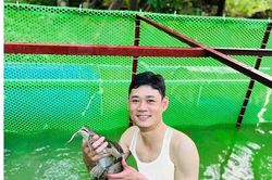 Làm giàu từ cá chiên