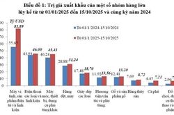 Xuất nhập khẩu hàng hóa đạt 718,85 tỷ USD, tăng hơn 17%