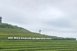 Hội Mùa vàng xã Lục Hồn: Khám phá ruộng bậc thang và trải nghiệm văn hóa Tày - Dao