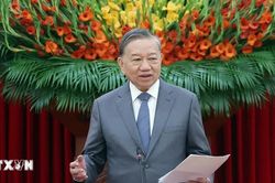 Tổng Bí thư Tô Lâm: Việt Nam trở thành đối tác trí tuệ của các nhà Việt Nam học