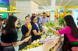 Sơn La tỏa sáng tại Hội chợ Mùa Thu