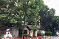 Hà Nội: Khó tin trước giá bán biệt thự tại 3 phường mới Cầu Giấy, Nghĩa Đô và Yên Hòa