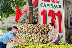2,4 tỷ đồng tổ chức Hội chợ giới thiệu sản phẩm đặc trưng vùng đồng bào DTTS và miền núi năm 2025