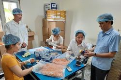 Quỹ Hỗ trợ phát triển HTX Việt Nam: 'Mở đường' giảm nghèo bền vững cho HTX