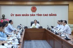 Chủ tịch UBND tỉnh Lê Hải Hòa: Khẩn trương hoàn thiện các nội dung trình Kỳ họp thứ 37 (chuyên đề) HĐND tỉnh