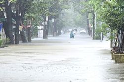Dự báo thời tiết ngày 29/10: Huế và Đà Nẵng mưa to, lũ nhiều sông vẫn trên báo động 3