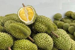 Giá sầu riêng hôm nay 29/10: Thị trường chững lại, Sầu Thái loại A giữ mức 95.000 đồng/kg