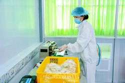 Phụ nữ tự tin bước vào thời đại số