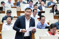 Đại biểu Quốc hội hiến kế để thu hút nguồn vàng trong dân