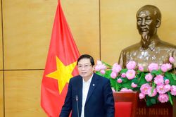 Ban Thường vụ Đảng ủy UBND tỉnh Nghệ An thông qua chủ trương đầu tư dự án LNG Quỳnh Lập 2,11 tỷ USD
