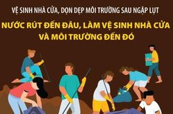 Nước rút đến đâu, làm vệ sinh nhà cửa và môi trường đến đó