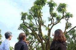 Phóng sự: Kỳ vọng của nông dân trước thềm Đại hội XIV của Đảng