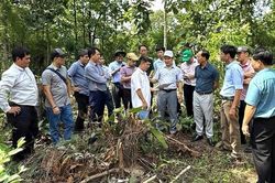 Nâng cao hiệu quả đầu tư xây dựng nông thôn mới: Từ 'lồng ghép' đến 'tích hợp chiến lược'
